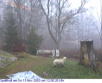 Das Schneewettenbild aus Spätthult für den 13. November 2003