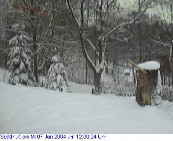 Das Schneewettenbild aus Spätthult für den 07. Januar 2004