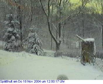 Das Schneewettenbild aus Spätthult für den 18. November 2004